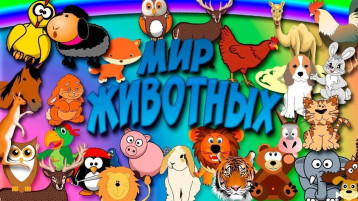 Мир животных Мир животных.