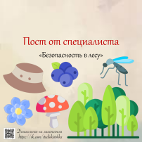 Пост от специалиста «Безопасность в лесу» Пост от специалиста «Безопасность в лесу».